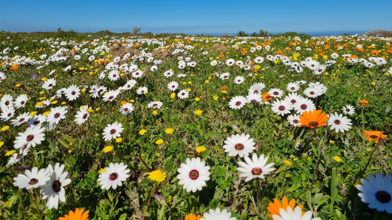 Allesvergeten In Langebaan Country Estate Exterior foto